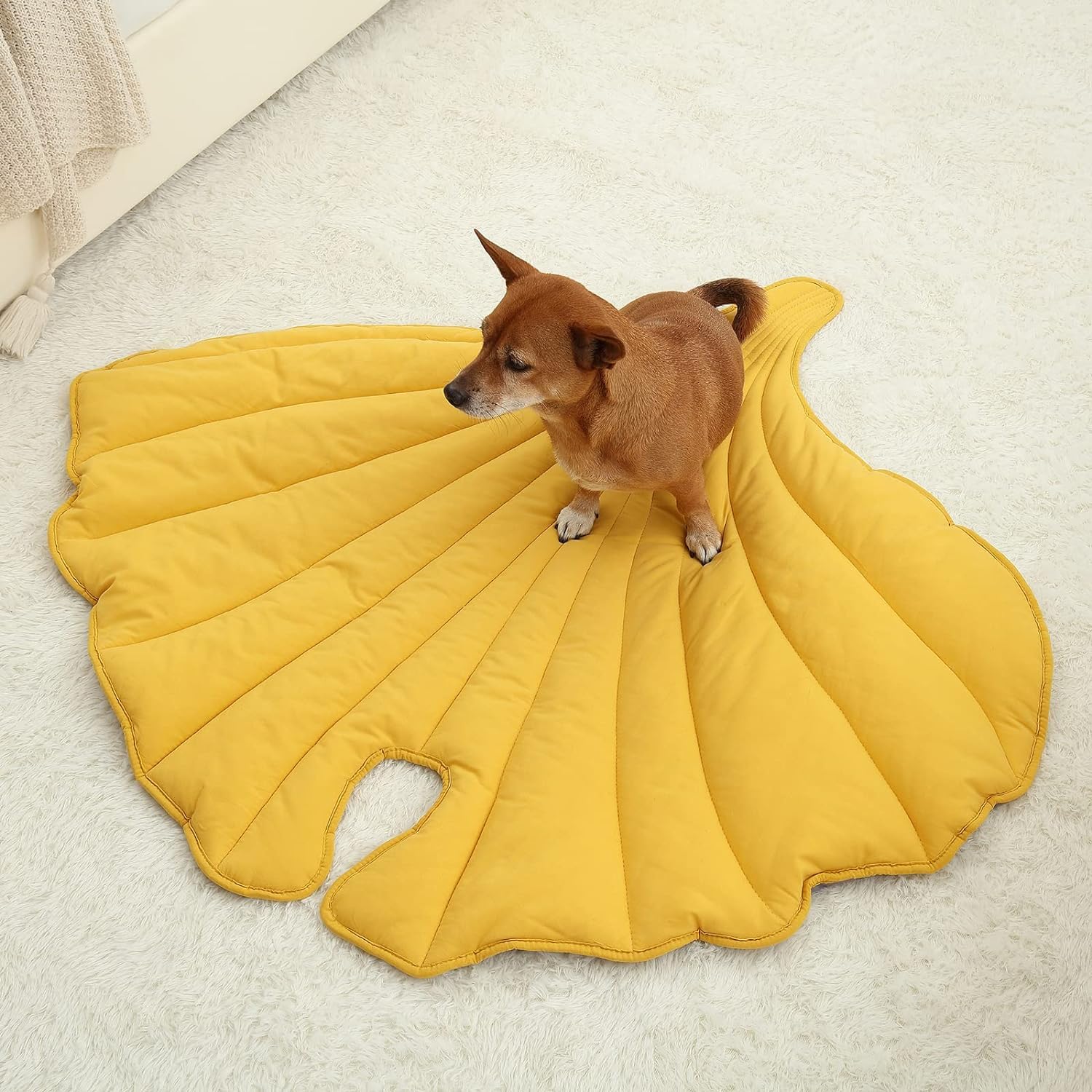 Letalong leaf design shown as stylish, cozy pet mat for living spaces