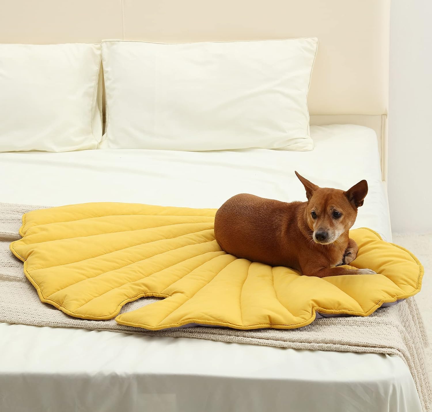 Letalong leaf blanket machine washable for easy care