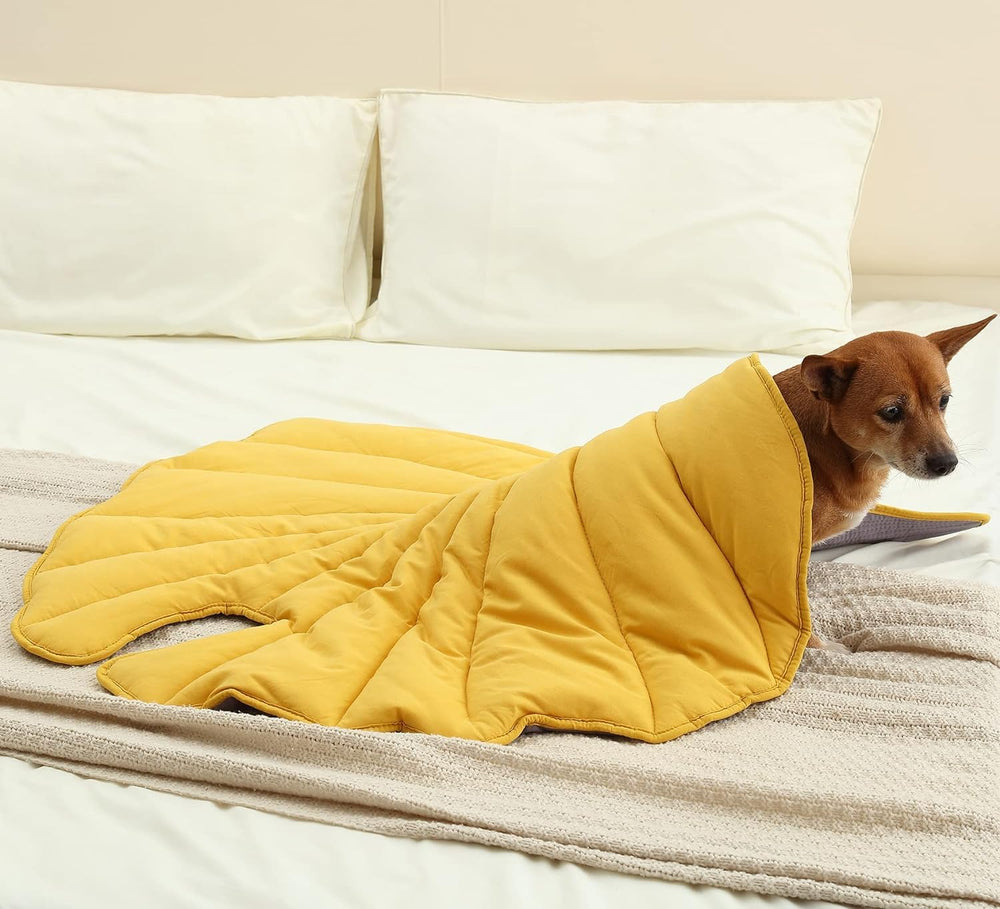 Letalong leaf blanket travel storage kept compact for trips