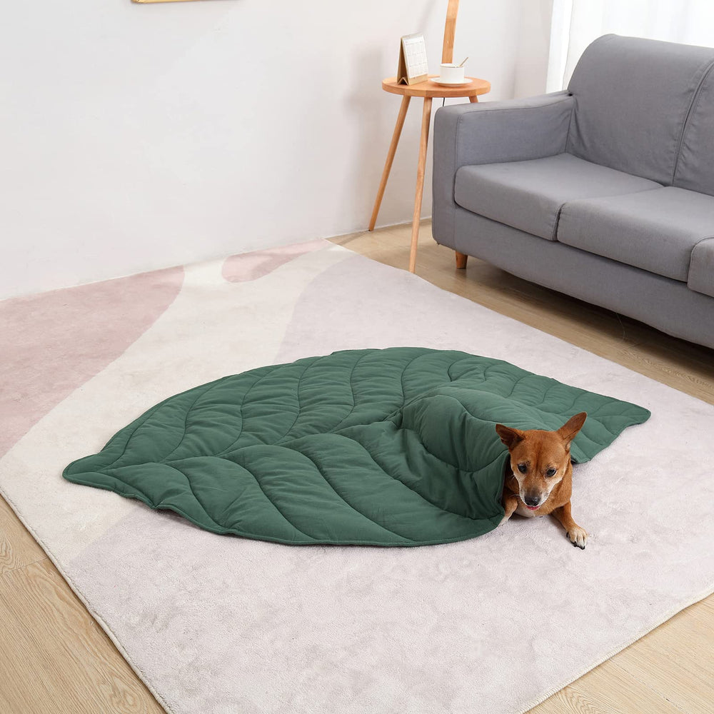 Letalong leaf-shaped blanket on floor offers cushioned lounging surface.