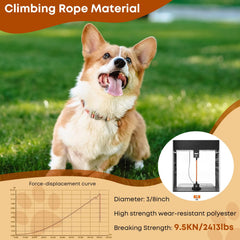 Leterno long dog leash 360-swivel-hooks prevents tangles during playtime.