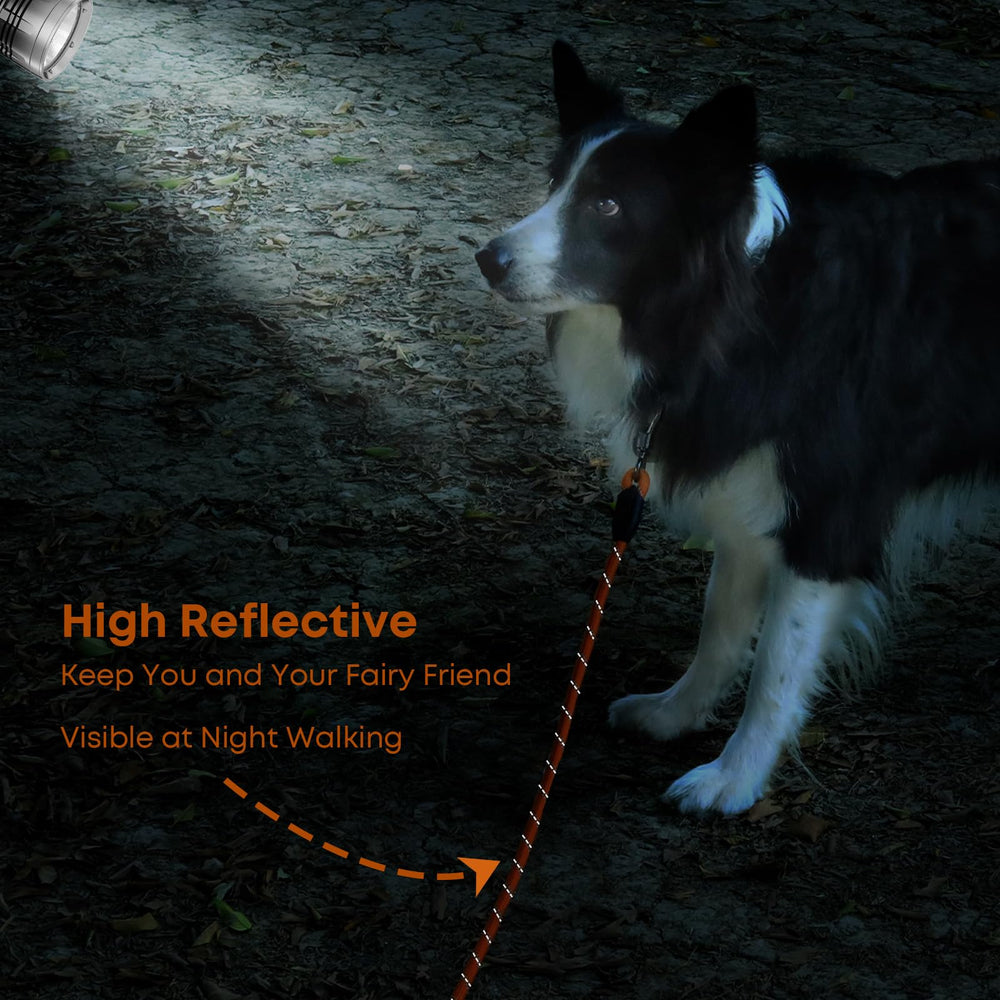 Leterno wear-resistant-polyester leash stays durable in active sessions.