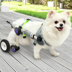 LetPetRun adjustable dog wheelchair front view with lightweight frame aiding hind-leg mobility.