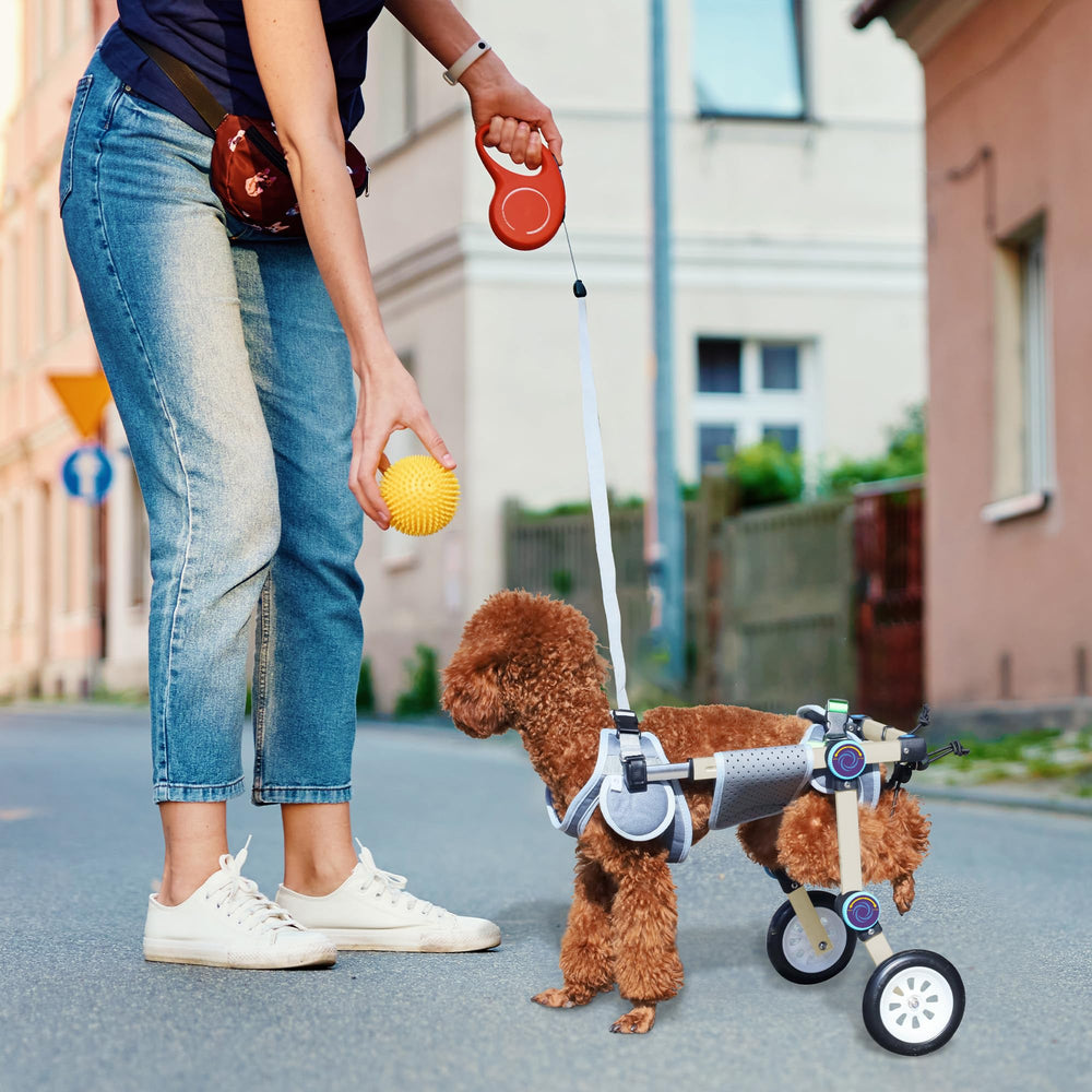 LetPetRun leash-buckle feature image illustrates secure leash attachment for safe strolls.