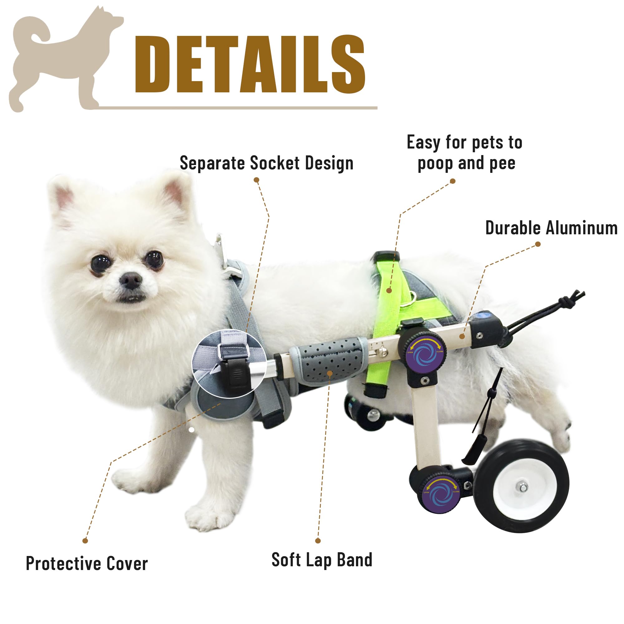 LetPetRun size-chart view helps choose the right fit for your dog.