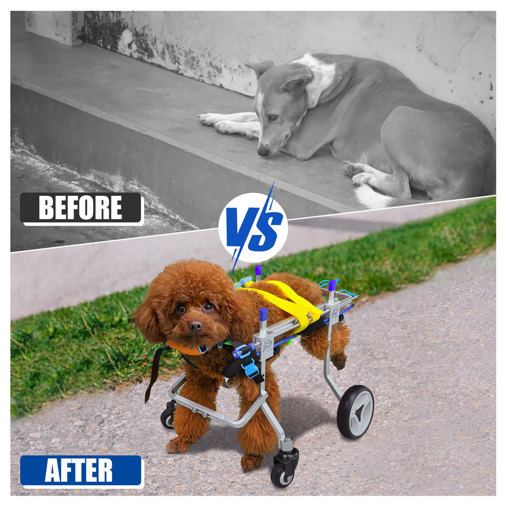LetPetRun adjustable size fits hind-leg pets for versatile mobility