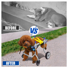 LetPetRun adjustable size fits hind-leg pets for versatile mobility