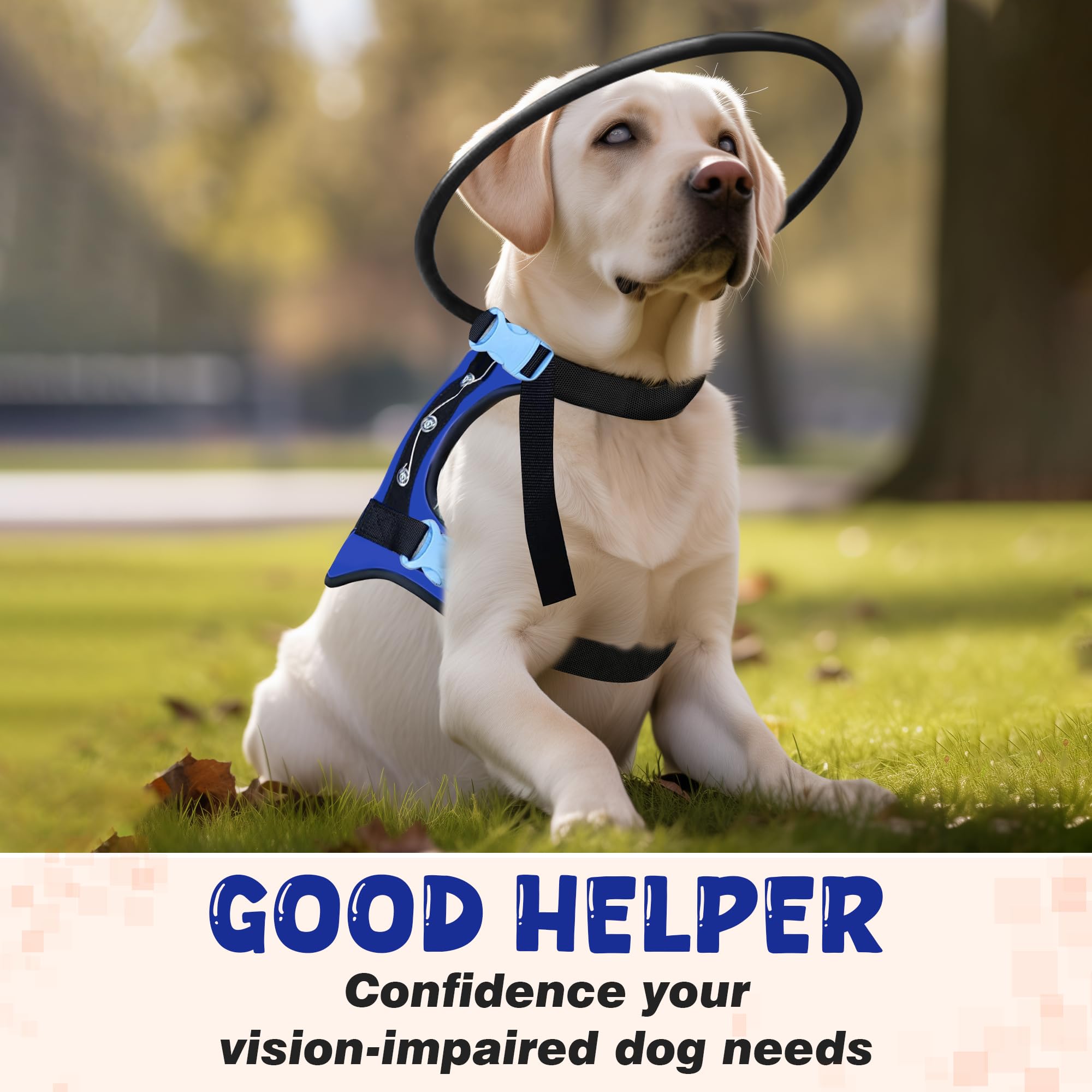 LetPetRun halo harness adaptation guide illustrates gradual training for confidence-building.