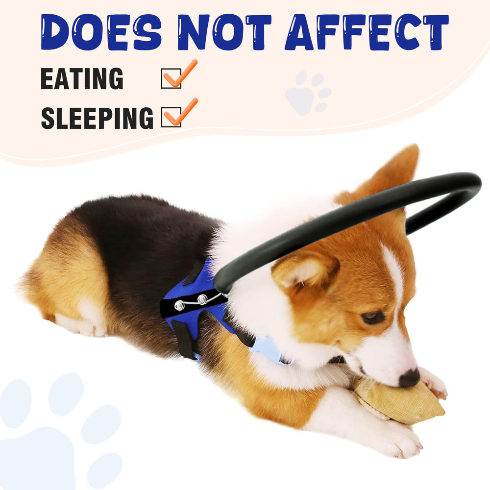 LetPetRun blind dog halo harness dog-movement-friendly design allows free activity while protected.