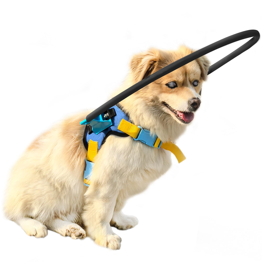 LetPetRun blind dog halo harness front view highlights lightweight comfort for safe daily walks.
