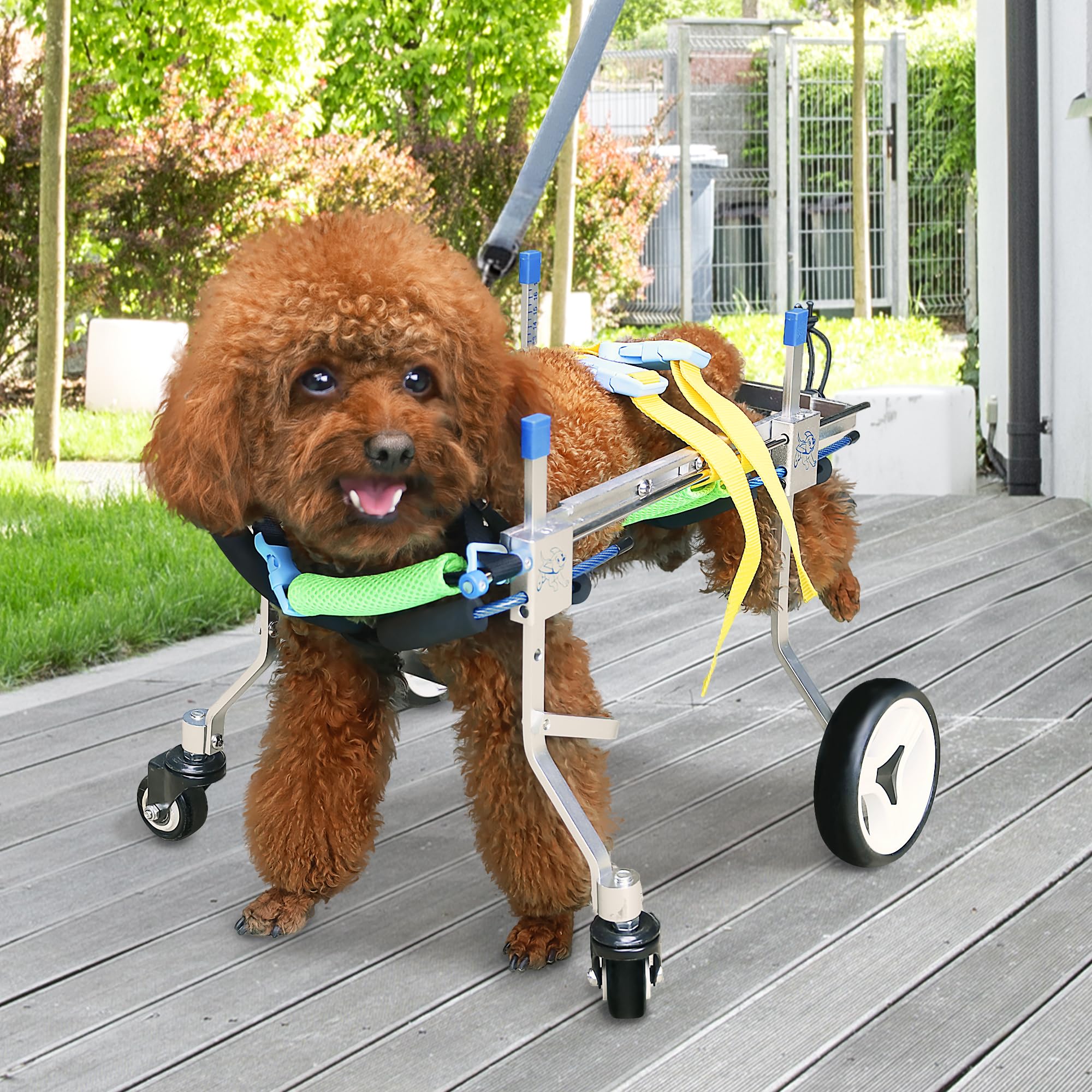 LetPetRun dog enjoys walking and play with the wheelchair