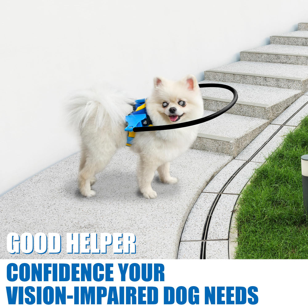 LetPetRun dog walking with halo demonstrates guided movement in unfamiliar environments.
