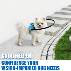 LetPetRun dog walking with halo demonstrates guided movement in unfamiliar environments.