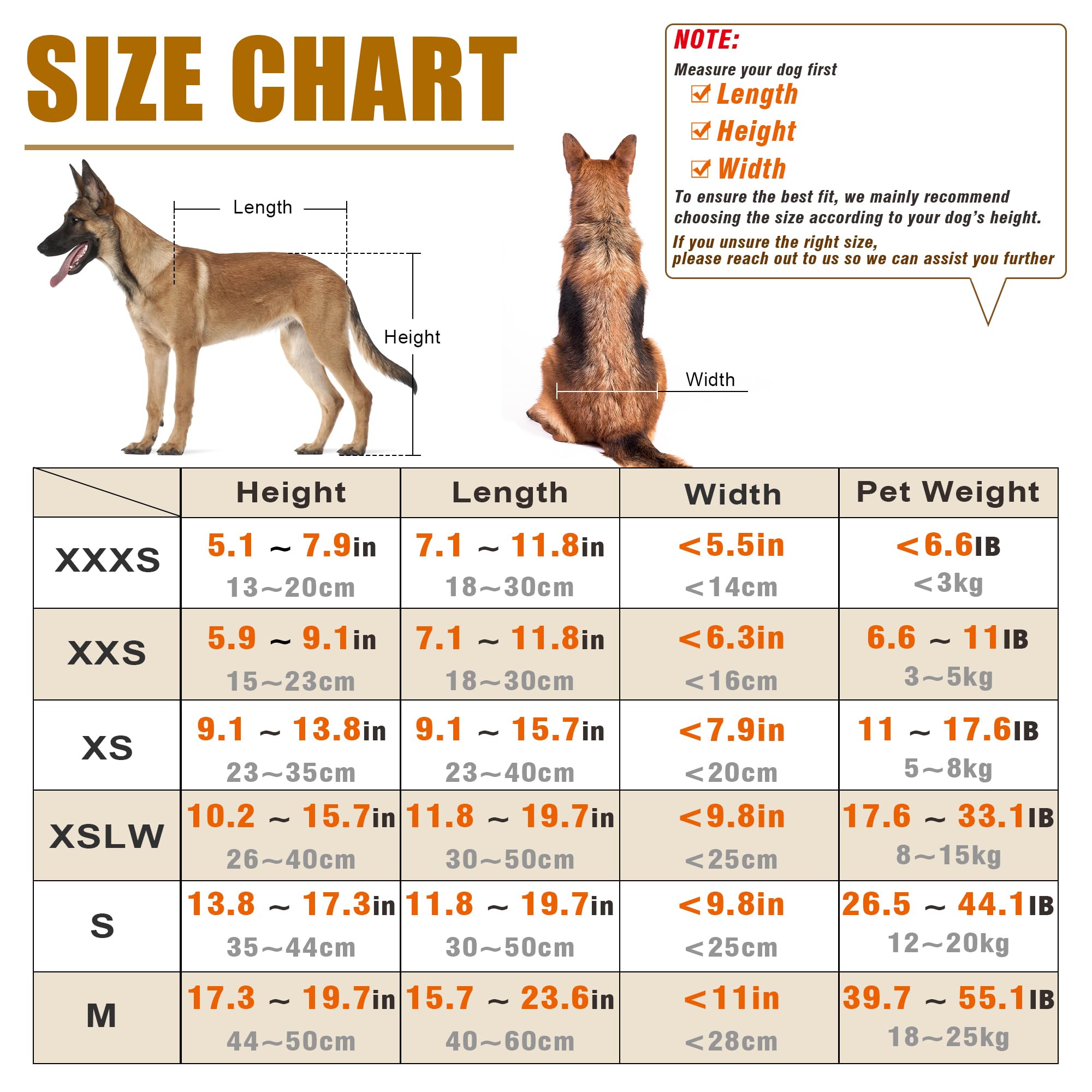 LetPetRun dog wheelchair rear angle displays soft straps for comfortable fit during walks.