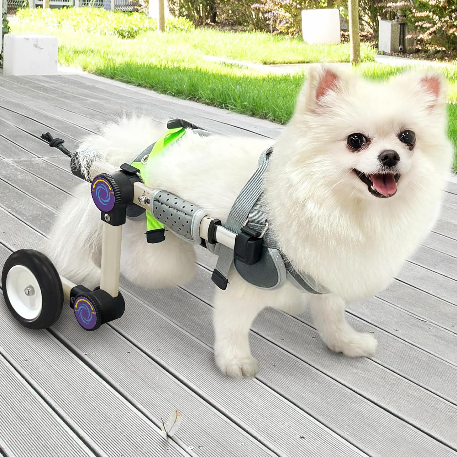 LetPetRun dog wheelchair side view shows adjustable height for hind leg mobility.