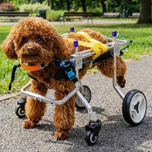LetPetRun four-wheeled dog wheelchair assembly for quick setup