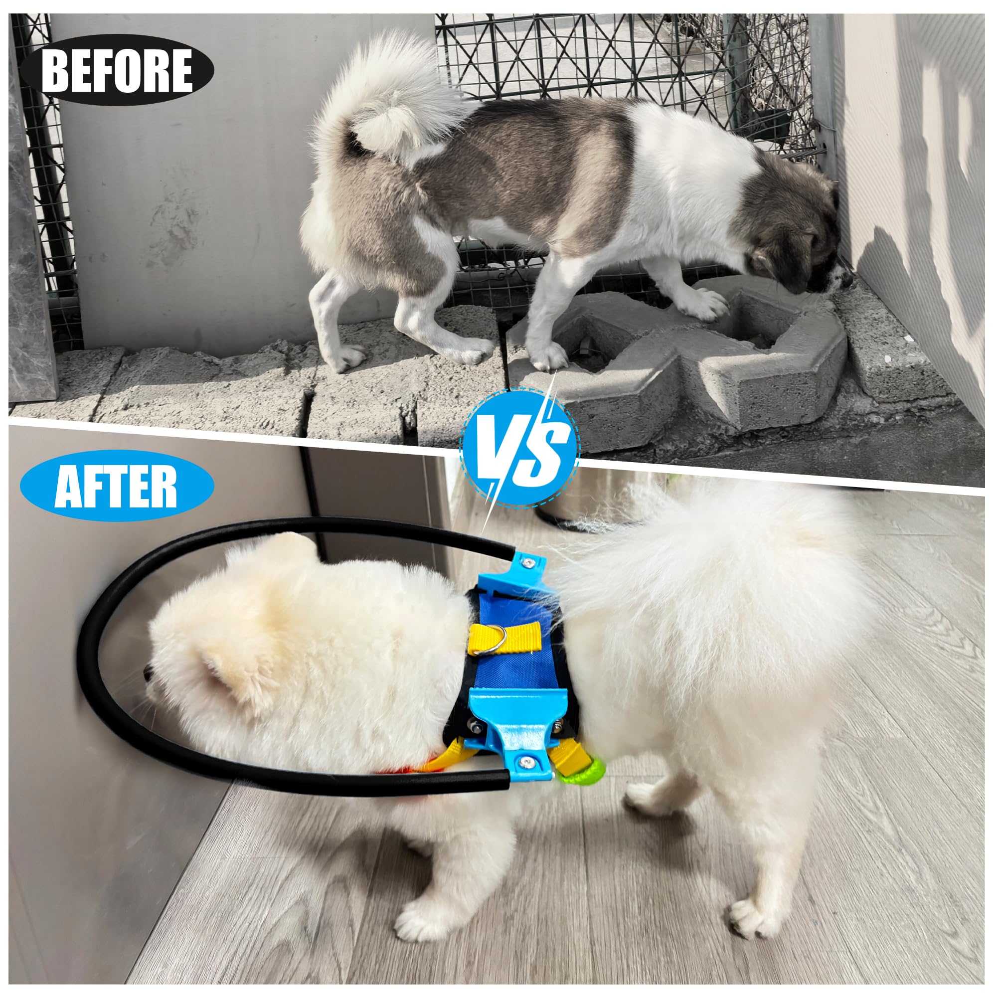 LetPetRun harness fit guide illustrates size selection for better confidence.