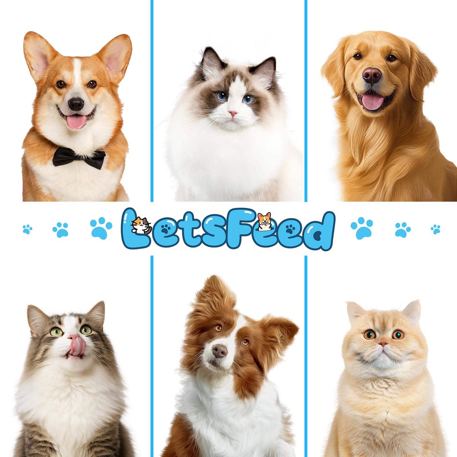 LetsFeed compact pet grooming tool design for easy handling