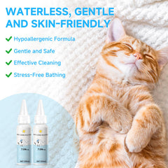 LetsFeed Pet Steam Brush multi-function deshedding and massage demo