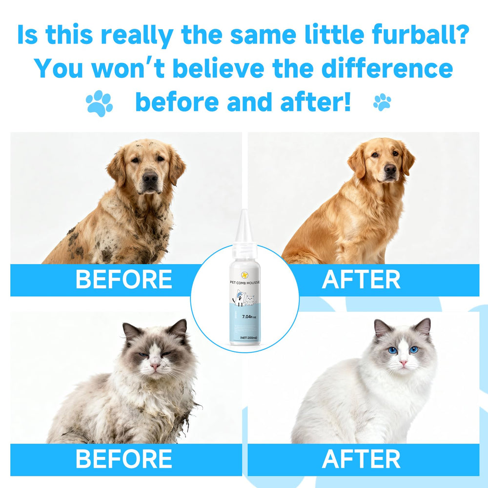LetsFeed Pet Steam Brush self-cleaning button fur removal