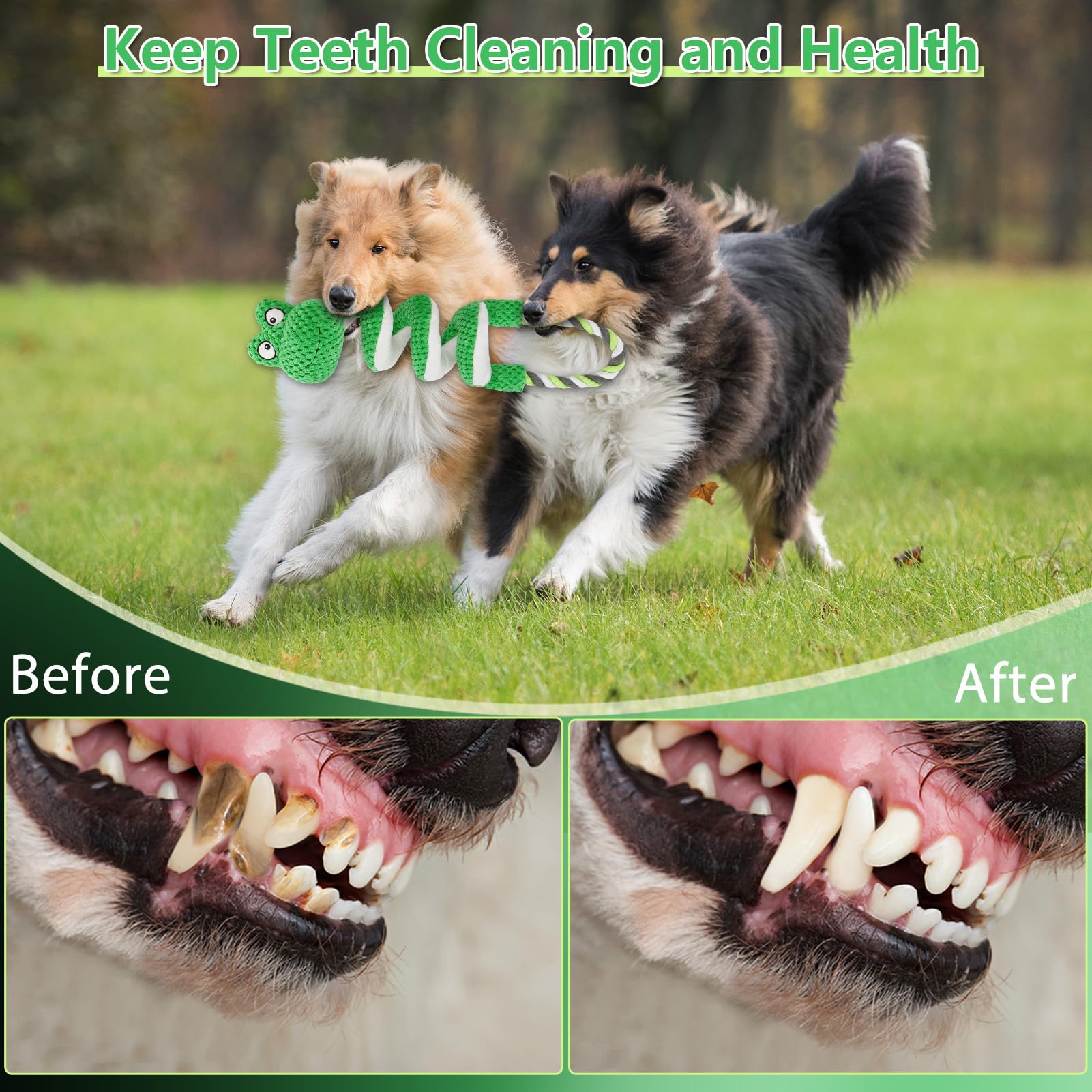 Letsmeet dog toy makes a great gift for special occasions delighting pets