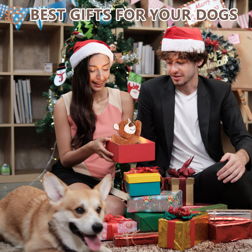 Letsmeet dog toy teeth-cleaning-design encourages safe chewing and dental-friendly play.