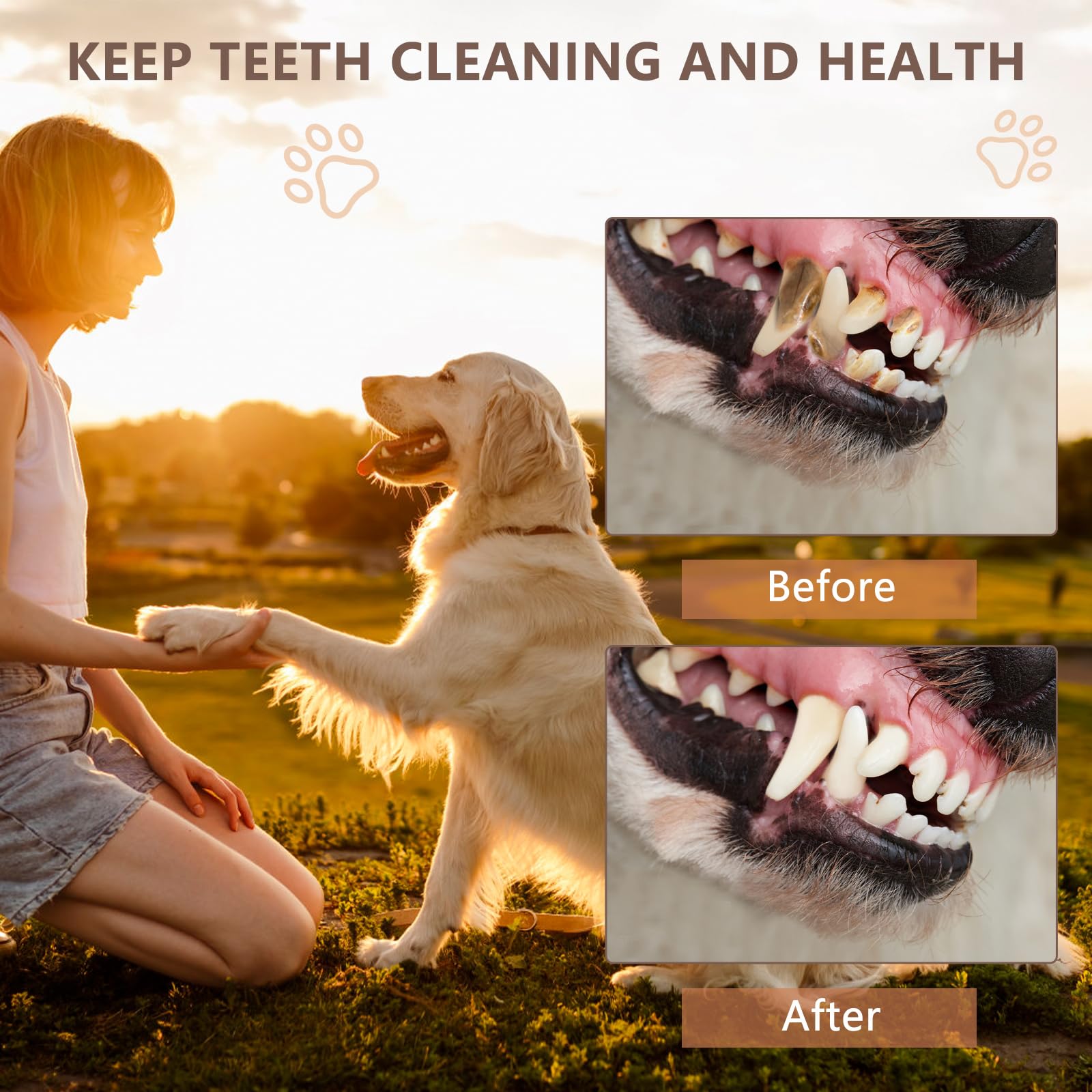 Letsmeet dog toy tug-handle-design enables easy interactive pull and bonding.