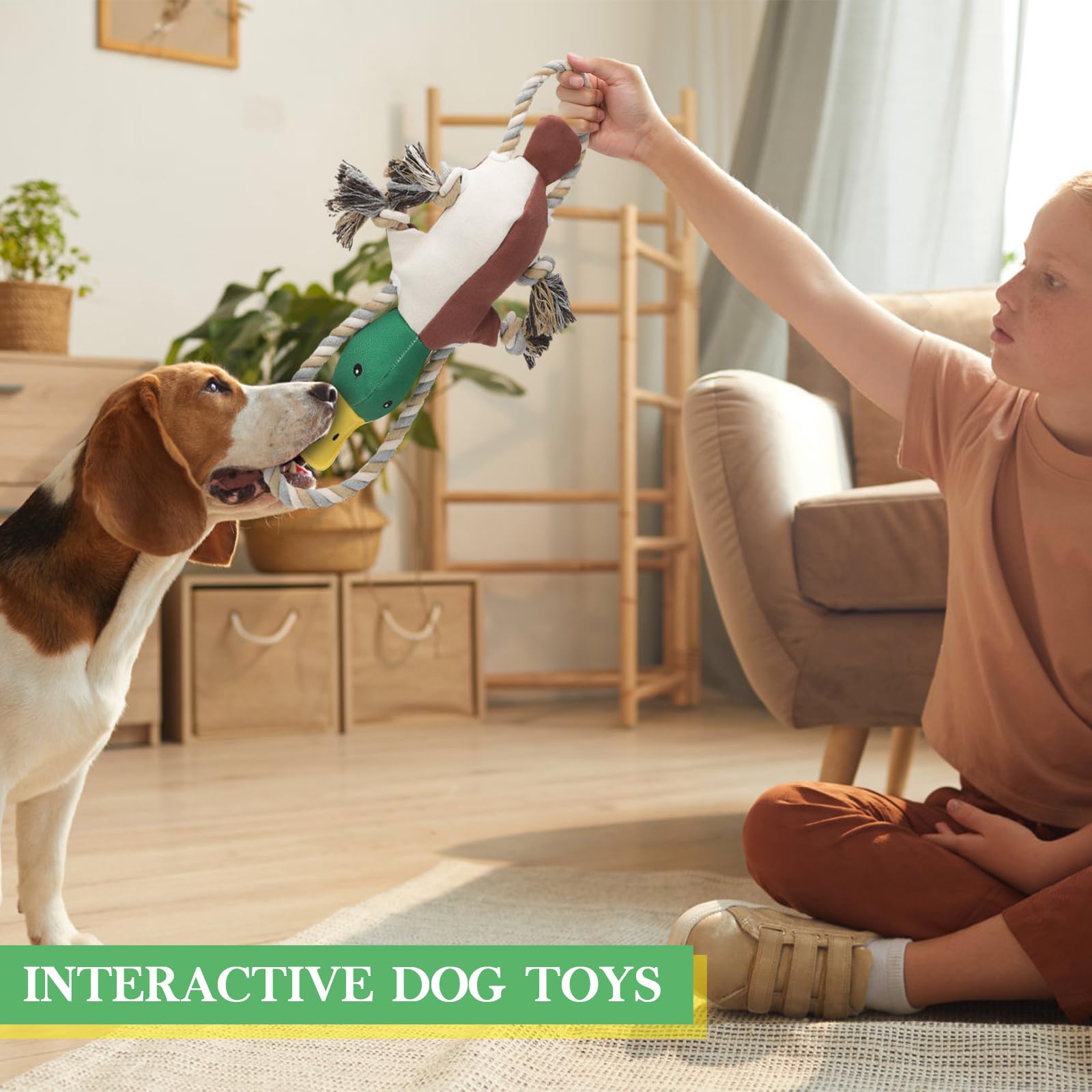 Letsmeet regalo perfecto para mascota, promueve juego y bienestar