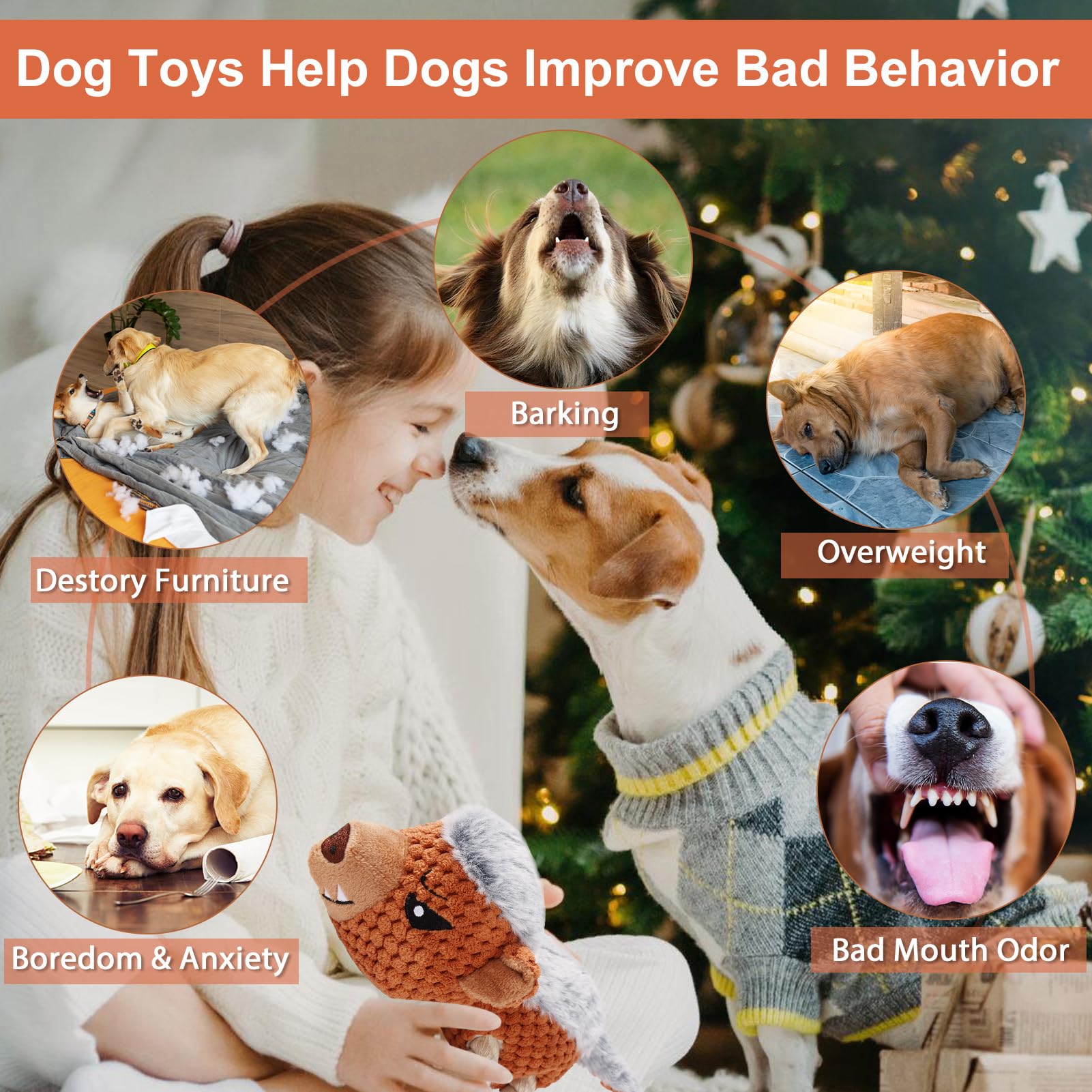 Letsmeet juguete interactivo para fomentar el juego compartido con tu perro.