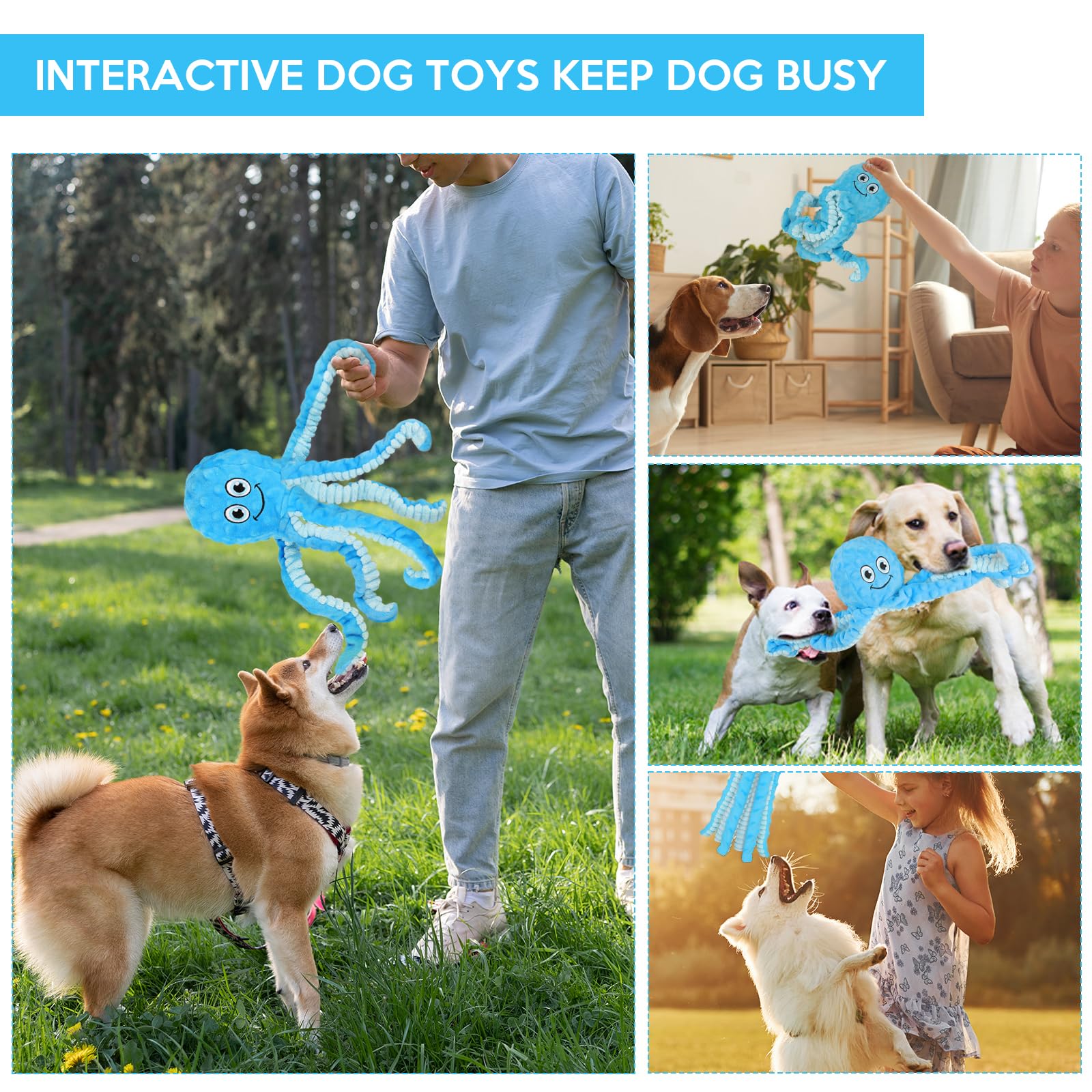 Letsmeet regalo perro feliz: potencia momentos de juego y alegría