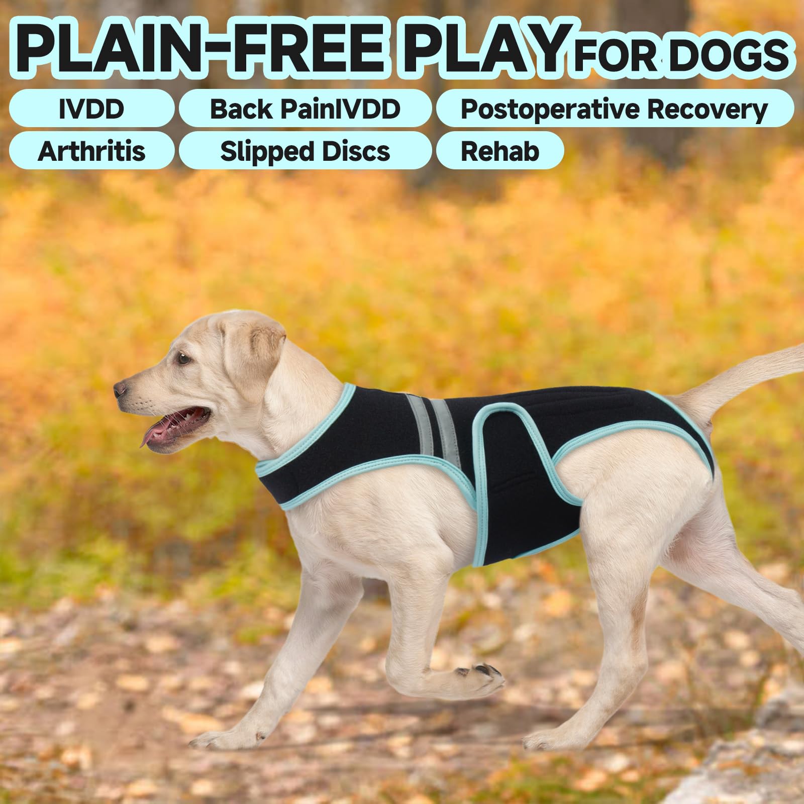 LETSQK dog back brace suitable for post-surgery recovery and back care.