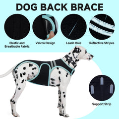 LETSQK dog back brace displays three stabilizers for back support and stability.