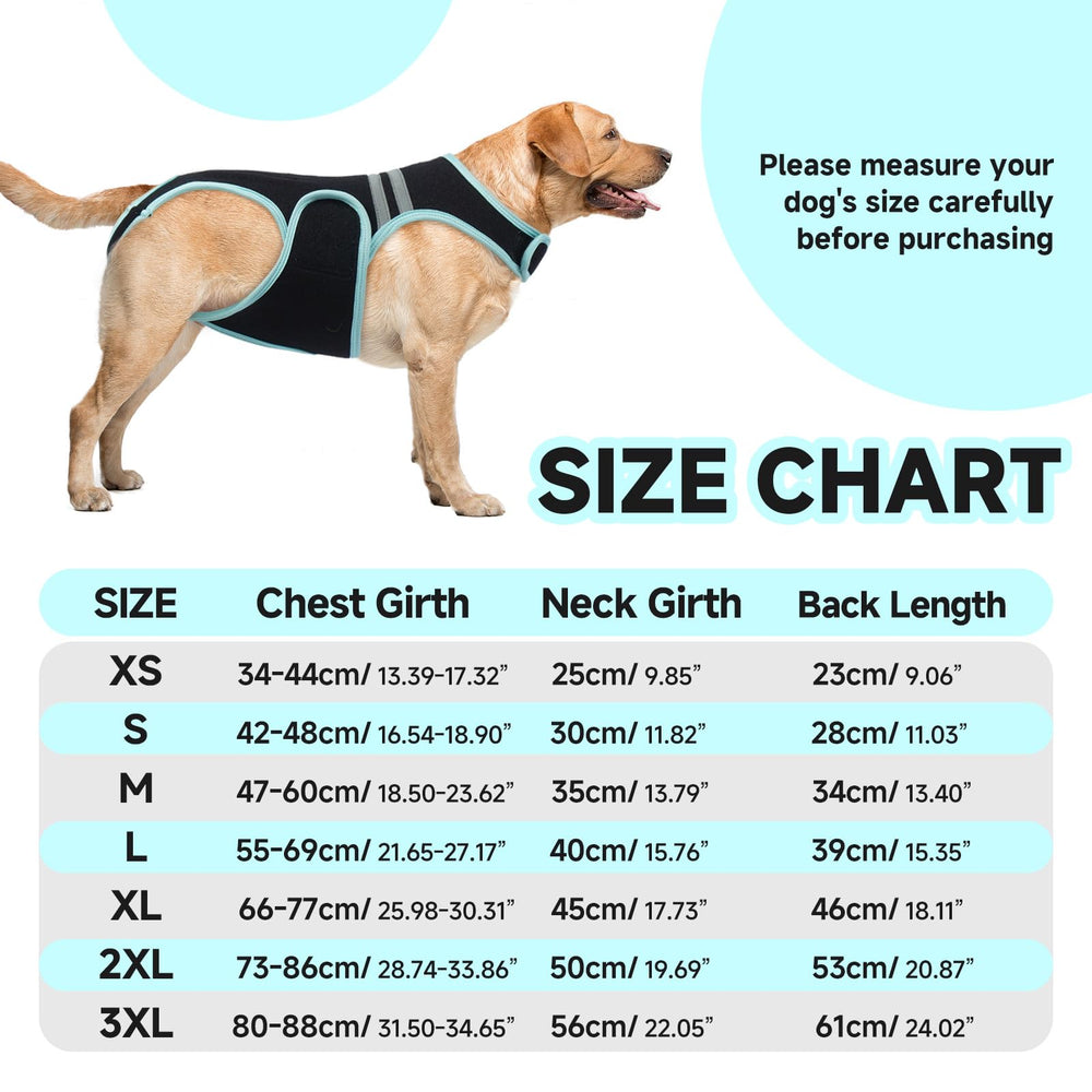 LETSQK dog back brace shows Velcro adjustment for secure, easy fitting.