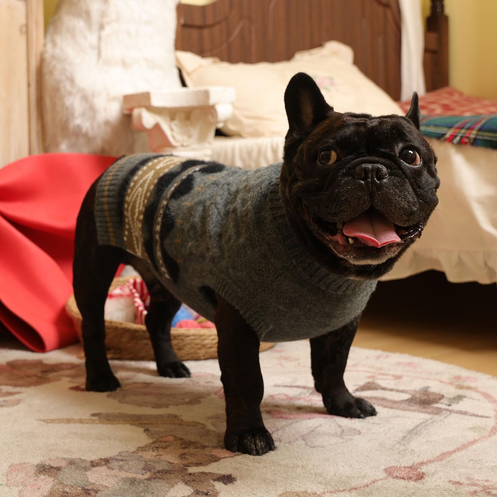 LETSQK holiday-ready style for festive photos and outings