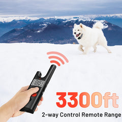 LetsWill dog training collar anti-loss function helps locate your dog at dusk