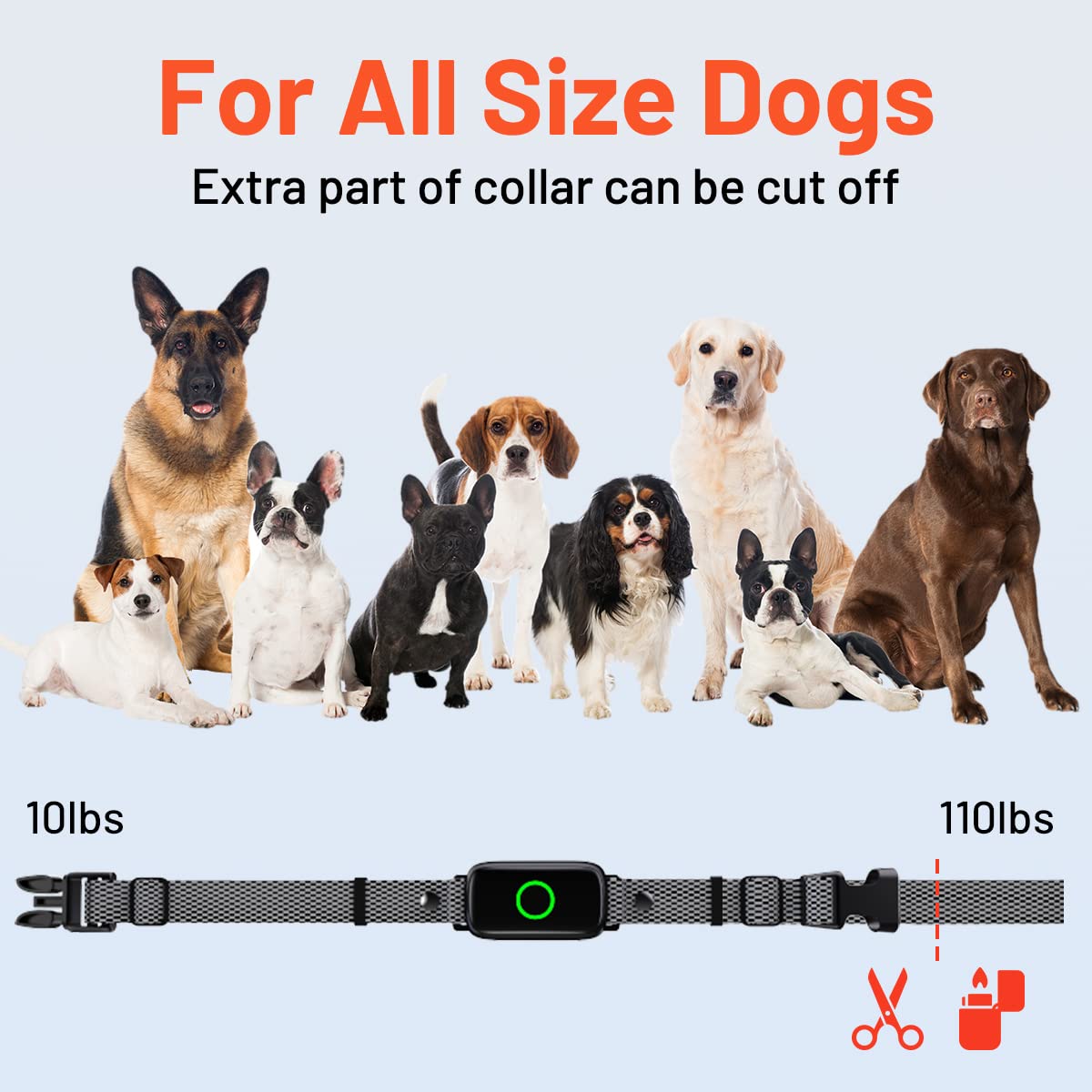 LetsWill dog training collar security lock prevents misoperation during use