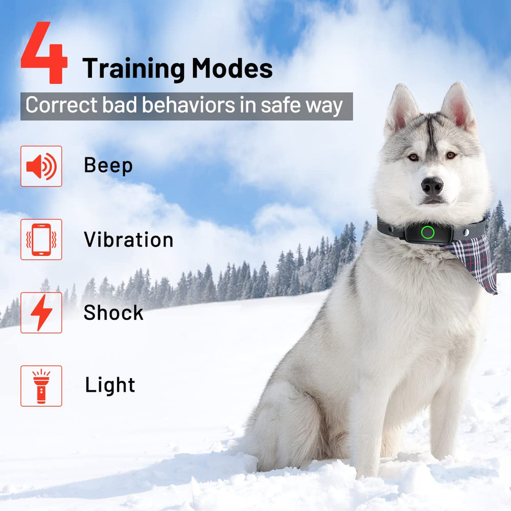 LetsWill dog training collar IPX7 waterproof for rain and swimming