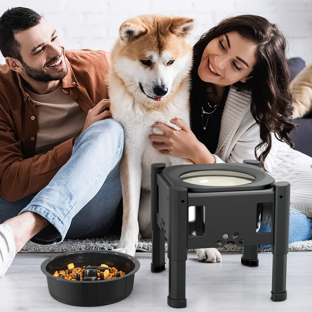 Lewondr durable elevated bowl setup keeps the feeding area tidy