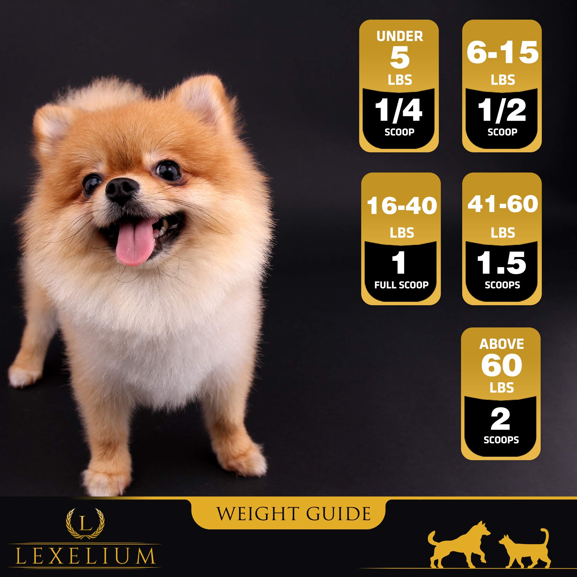 Lexelium vet-recommended badge with pet eyes symbolizing trusted support