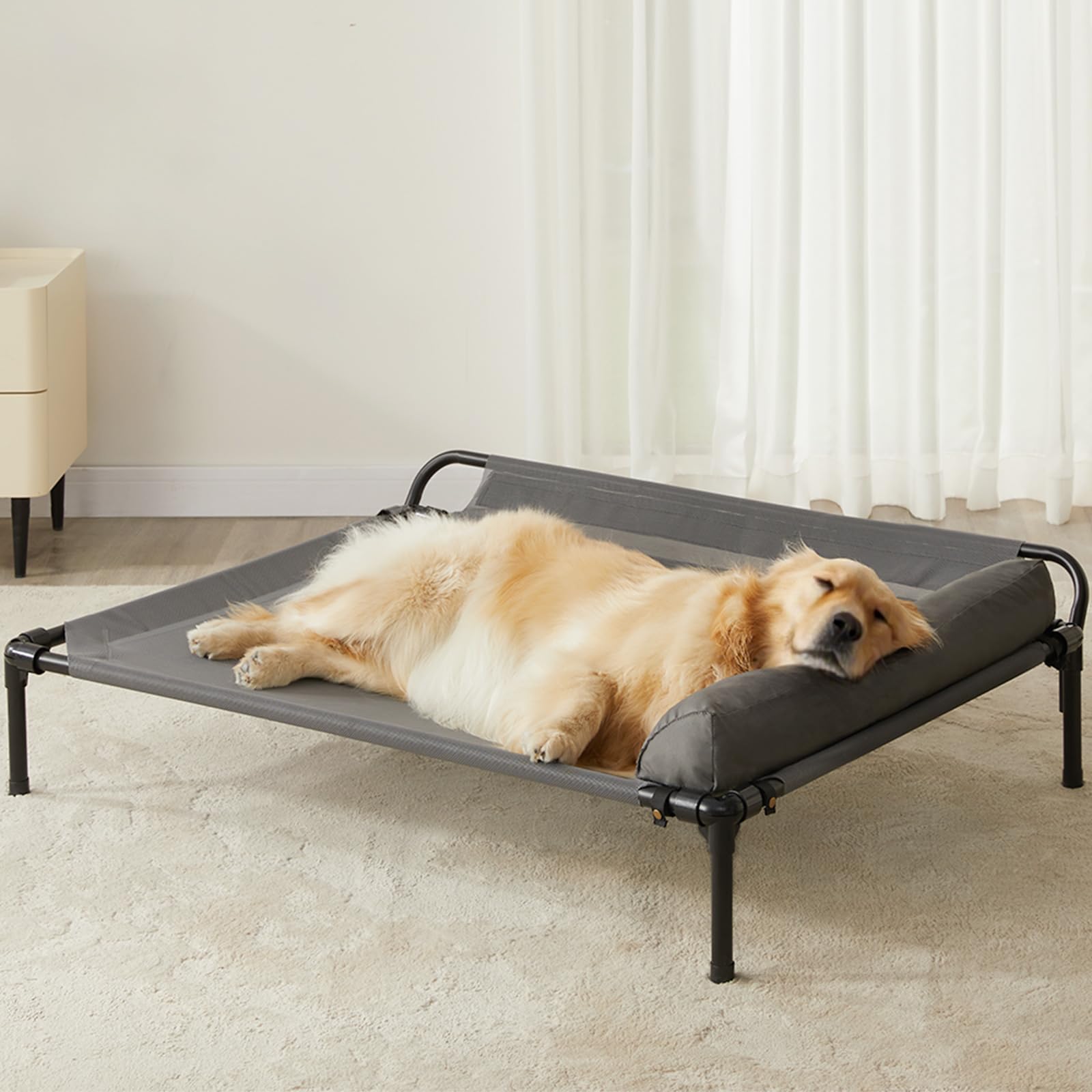 LEXTRO assembly instruction shows quick setup for busy pet owners