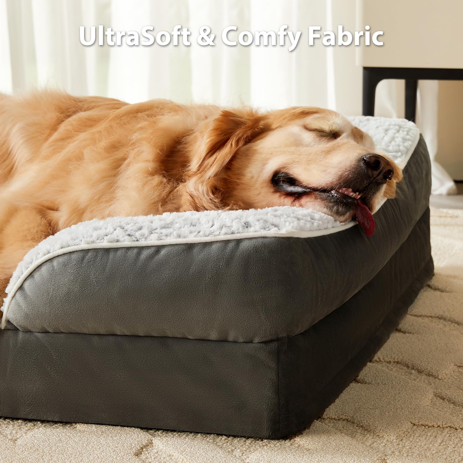 LEXTRO dog bed dimensions 28x23x6-5 inches for medium dogs