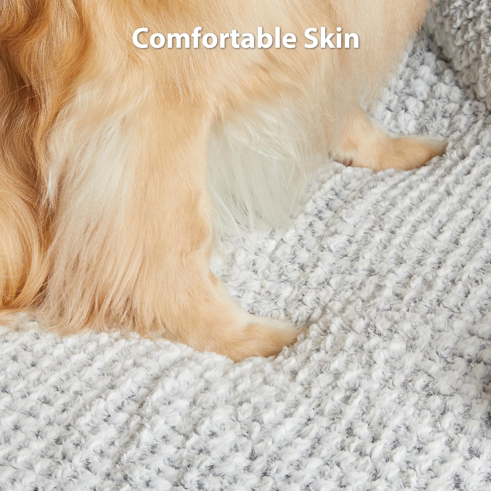 LEXTRO dog bed with 3-sided zipper simplifies washing and reassembly.
