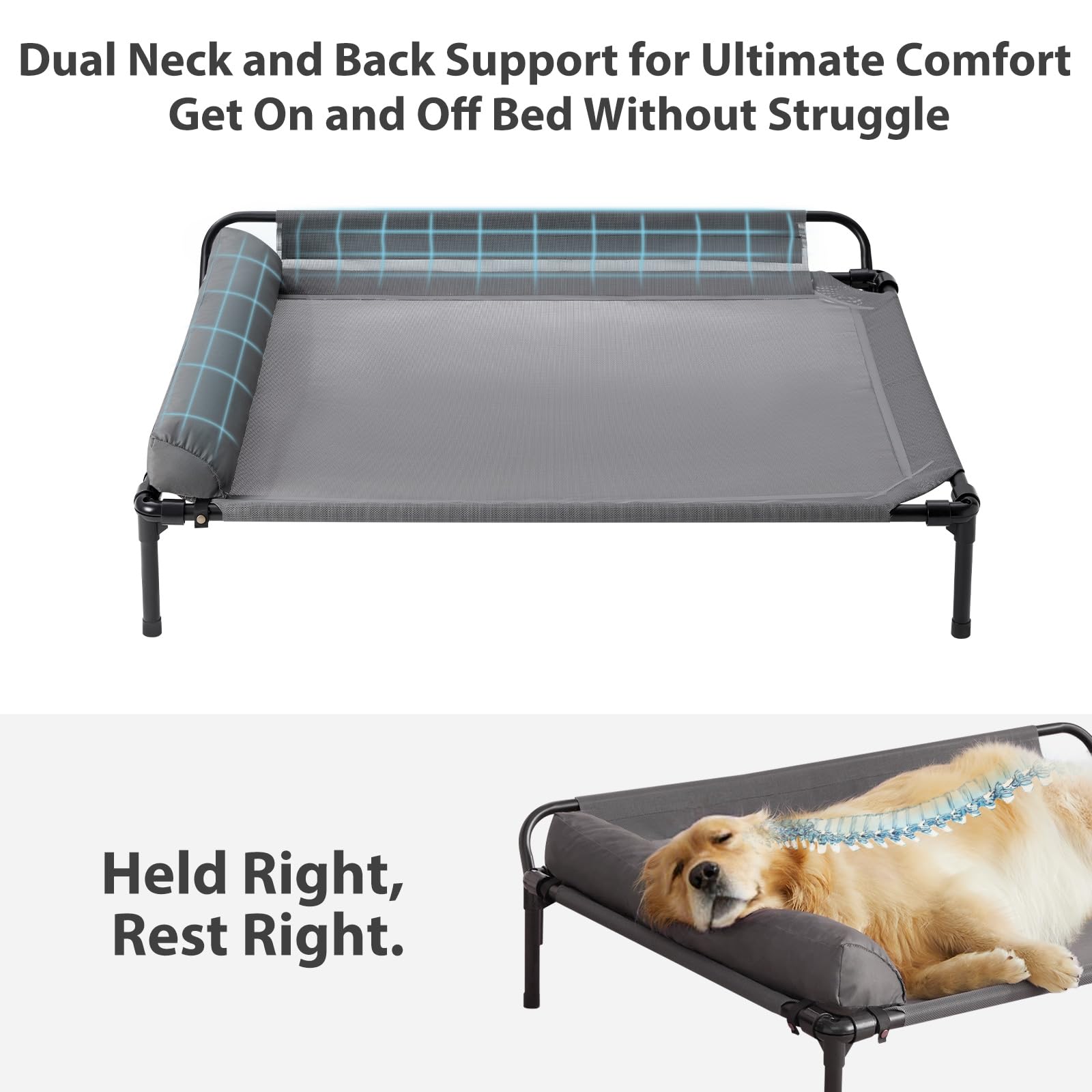 LEXTRO elevated bed frame highlights sturdy steel support for large dogs