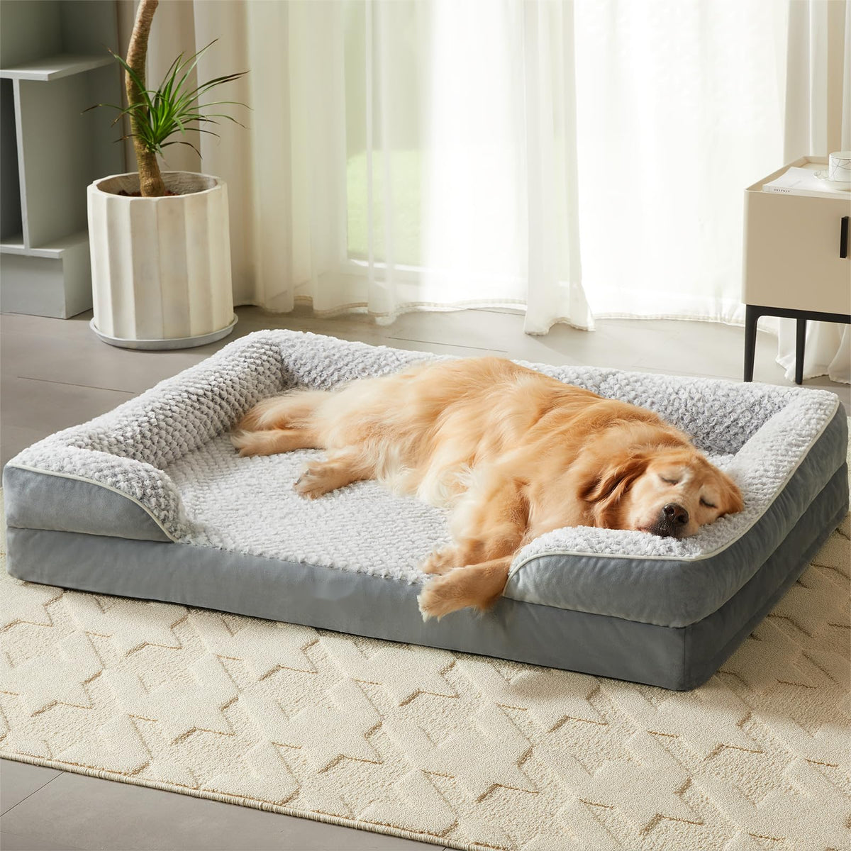 LEXTRO orthopedic dog bed with egg crate foam supports joints for medium dogs.