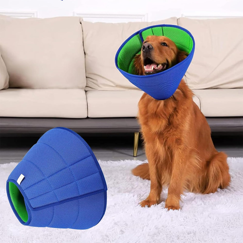 LH NTGR soft cone around the neck supports gentle post-op recovery.