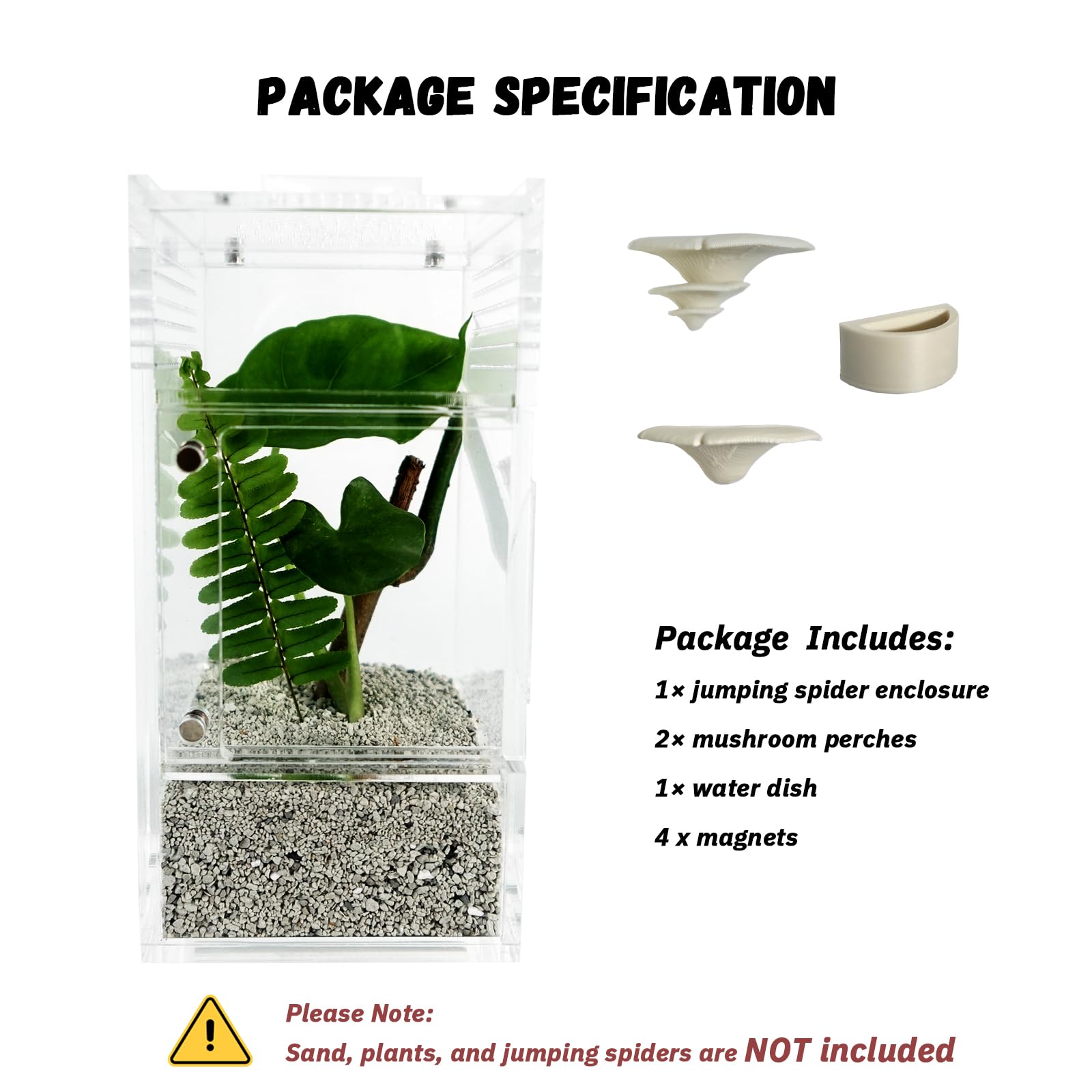 LIANMORY jumping spider enclosure 4mm acrylic — ultra-durable and warp-resistant.
