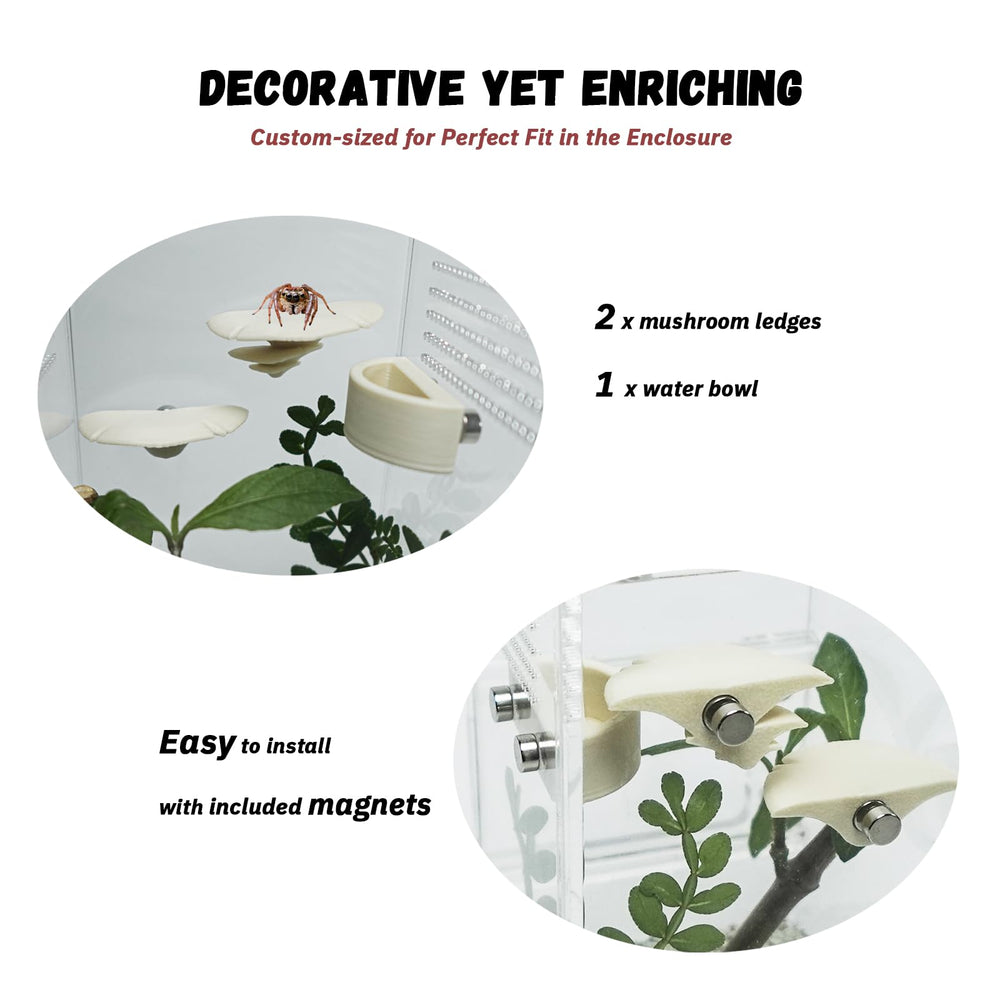 LIANMORY jumping spider enclosure mushroom perches provide secure elevated resting spots.