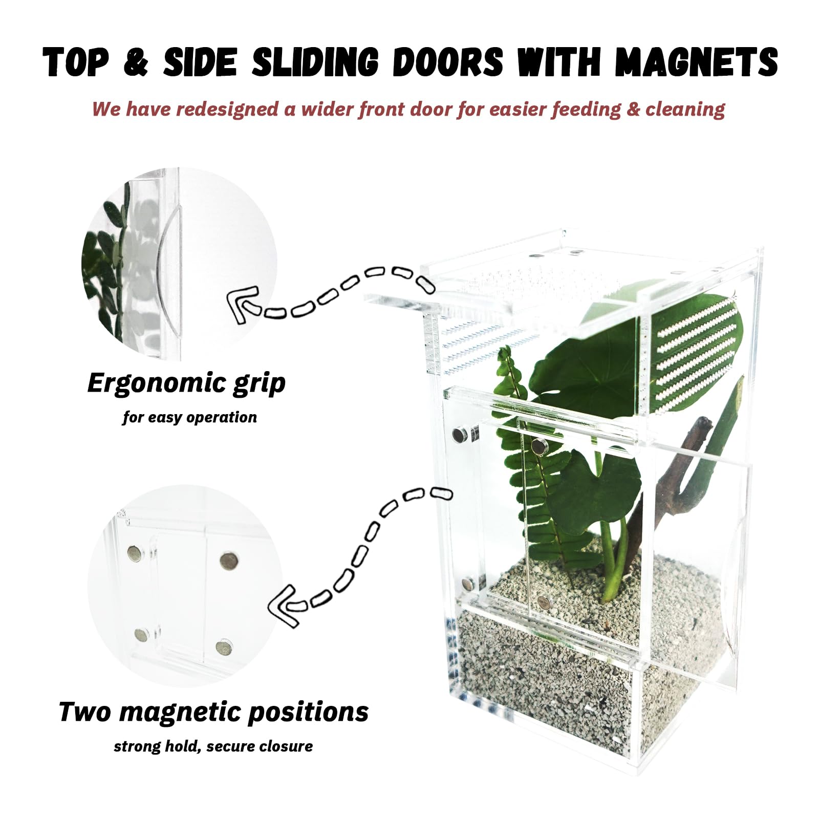 LIANMORY jumping spider enclosure open doors — easy feeding and maintenance.