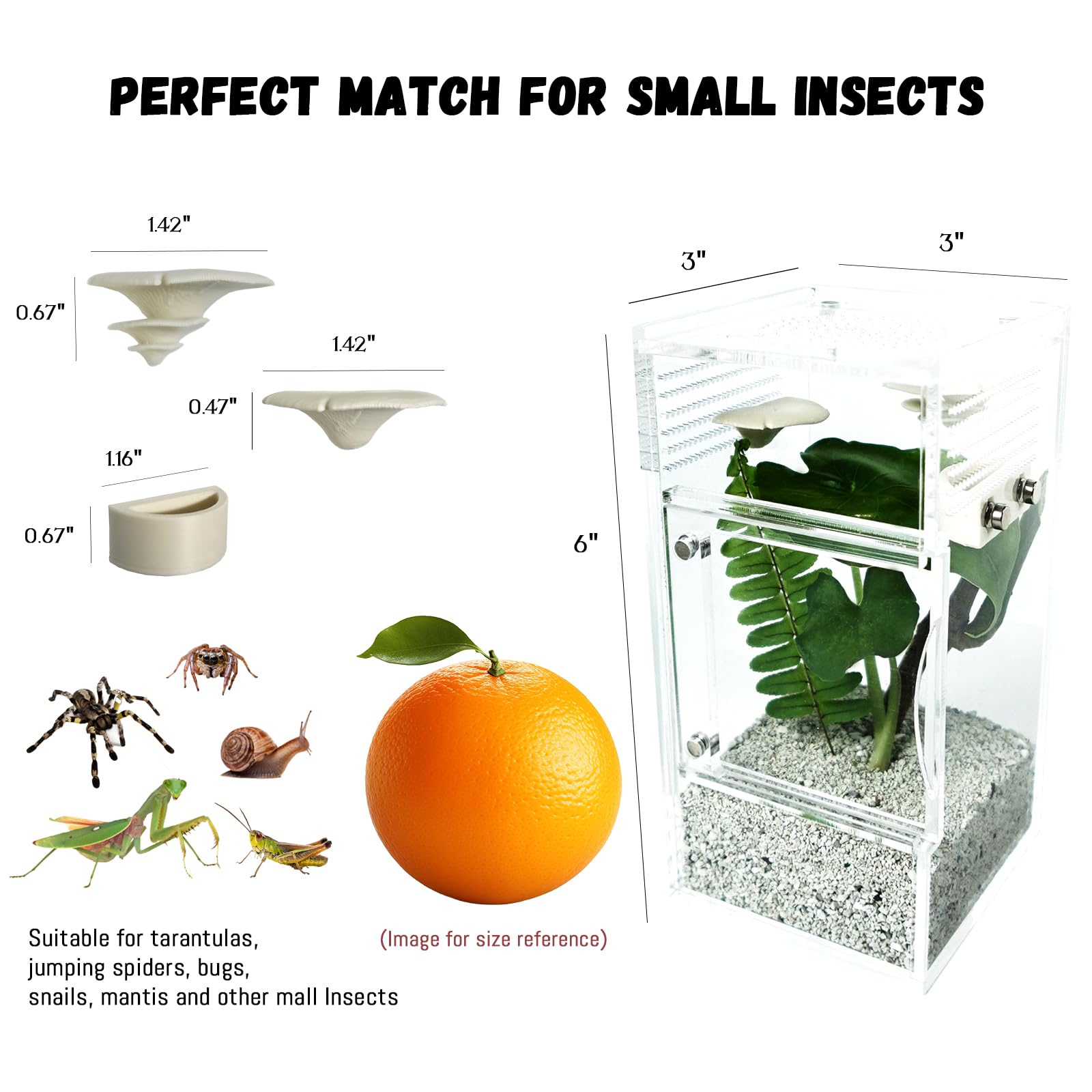 LIANMORY jumping spider enclosure side view shows compact footprint ideal for desks.