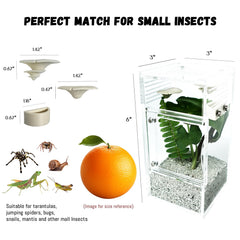 LIANMORY jumping spider enclosure side view shows compact footprint ideal for desks.